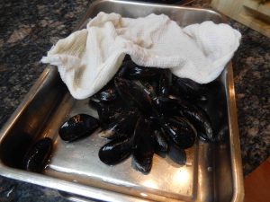 mussels 3